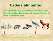 Cadeia alimentarÉ a maneira de expressar as relações de alimentação entre os organismos de uma comunidade.