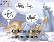 Cadeia Alimentar Terrestre 5