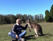 Canguru ao Lado de Pessoas na Austrália 4