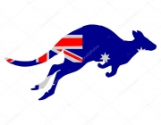 Canguru - Símbolo da Austrália 3