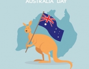 Canguru - Símbolo da Austrália 4
