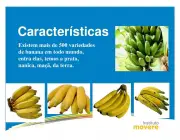 Características da Banana 1