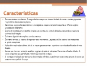 Possuem sistema circulatório. O sangue desloca-se por um sistema fechado de vasos e contém pigmentos respiratórios dissolvidos no plasma. Na minhoca, o pigmento respiratório é a hemoglobina, responsável pelo transporte de 40% do oxigênio utilizado pelo organismo; O corpo é revestido por um epitélio simples que secreta uma cutícula delicada, protegendo o organismo contra a desidratação; O sistema digestório é completo, com boca e ânus; O sistema nervoso, já é capaz de organizar seus movimentos. Já possuí células tácteis, tato receptoras e químio-receptoras. Muitos têm respiração cutânea, isto é, as trocas gasosas entre o organismo e o meio são efetuadas através da pele. Outros, que vivem em ambiente aquático, respiram através de brânquias, filamentos delicados dotados de vasos sanguíneos que, por difusão, retiram O2 dissolvido na água; A excreção é realizada por estruturas denominadas nefrídeos, que eliminam os excretas através de poros que se abrem na superfície do corpo.