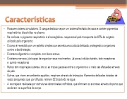 Possuem sistema circulatório. O sangue desloca-se por um sistema fechado de vasos e contém pigmentos respiratórios dissolvidos no plasma. Na minhoca, o pigmento respiratório é a hemoglobina, responsável pelo transporte de 40% do oxigênio utilizado pelo organismo; O corpo é revestido por um epitélio simples que secreta uma cutícula delicada, protegendo o organismo contra a desidratação; O sistema digestório é completo, com boca e ânus; O sistema nervoso, já é capaz de organizar seus movimentos. Já possuí células tácteis, tato receptoras e químio-receptoras. Muitos têm respiração cutânea, isto é, as trocas gasosas entre o organismo e o meio são efetuadas através da pele. Outros, que vivem em ambiente aquático, respiram através de brânquias, filamentos delicados dotados de vasos sanguíneos que, por difusão, retiram O2 dissolvido na água; A excreção é realizada por estruturas denominadas nefrídeos, que eliminam os excretas através de poros que se abrem na superfície do corpo.