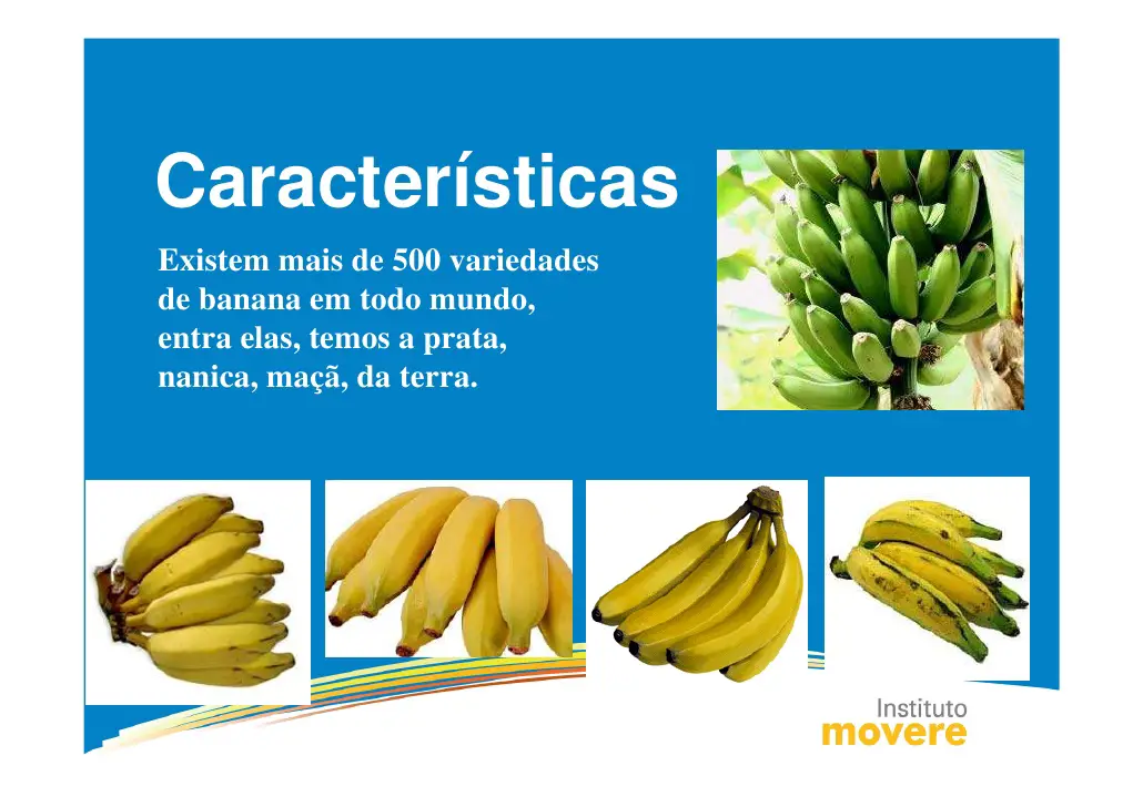 Características das Bananas 1
