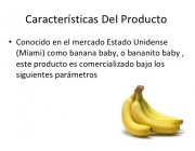 Características das Bananas 3