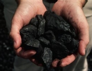 Carvão Vegetal 3