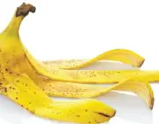 Casca da Banana 6