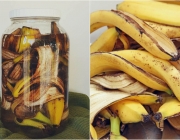 Casca de Banana Como Adubo 4