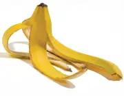 Casca de Banana 4