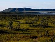 Cerrado Brasileiro 1