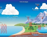 Ciclos Biogeoquímicos 2