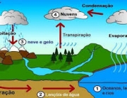 Ciclos Biogeoquímicos 3