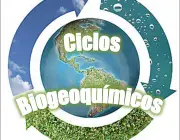 Ciclos Biogeoquímicos 4