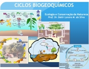 Ecologia e Conservação da Natureza. Prof. Dr. Dakir Larara M. da Silva.