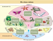 Cinco Reinos Biológicos 1