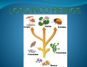 Cinco Reinos Biológicos 5