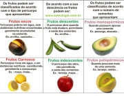 Classificação dos Frutos 1