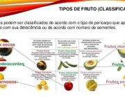 Classificação dos Frutos 2