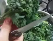 Comendo Brócolis de Rama 5