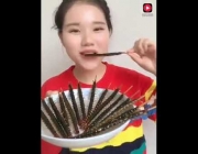 Comendo Centopéia na China 6