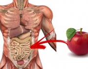 Comendo Muita Maçã 4