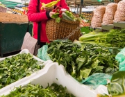 Woman buying lettuce at market place