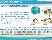 A comunidade representa um nível de organização abaixo dos ecossistemas, portanto, a formação de um ecossistema depende da presença dessa comunidade. A classificação dos organismos terrestres é baseada na estrutura trófica básica dos nichos alimentares principais, ou seja, as classes dos autótrofos (produtores), dos heterótrofos (consumidores) e dos saprótrofos (decompositores).