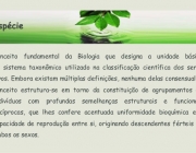 Conceito de Ecologia 4