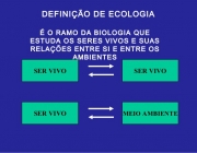 Conceito de Ecologia 5