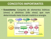 Conceito de Ecossistema 2