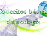 Conceitos Básicos da Ecologia 3