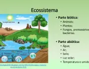 Conceitos Básicos da Ecologia 4