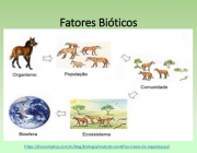 Conceitos Básicos da Ecologia 5