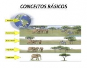 Conceitos em Ecologia 3