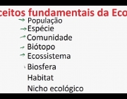 Conceitos Importantes da Ecologia 1