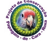 Conservação do Papagaio de Cara Roxa 6