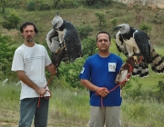 Conservadores da Espécie Harpia 1