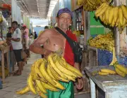 Consumo de Banana da Terra 2