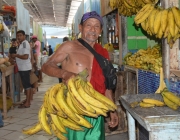 Consumo de Banana da Terra 2