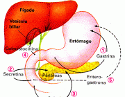 Controle Intestinal 2