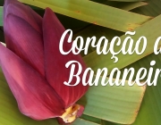 Coração da Bananeira 4