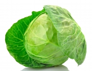 Green cabbage isolated on white background