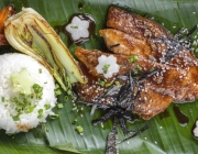 Unagi filet with Vegetable and Rice