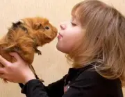 Crianças Pequenas Com Animais 3