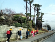 Crianças no Japão com Capecete em Horário Escolar 5