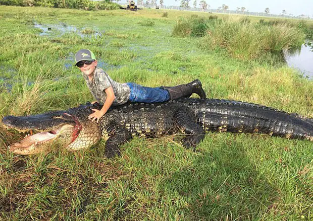 Crocodilo Gigante 3