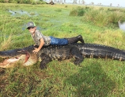 Crocodilo Gigante 3