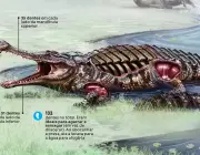 Crocodilo Gigante 6