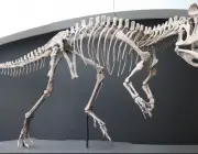 Cryolophosaurus Ellioti 1